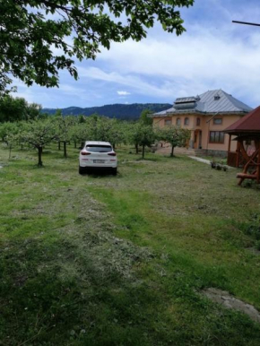 Отель CASA ILEA-Agapia